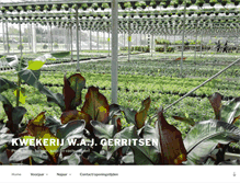 Tablet Screenshot of kwekerijgerritsen.nl